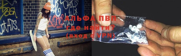 твердый Инта