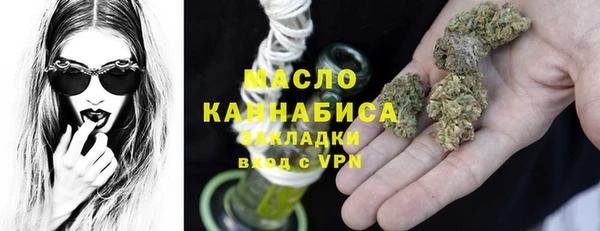 твердый Инта