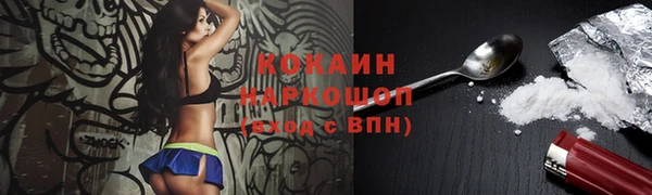 твердый Инта