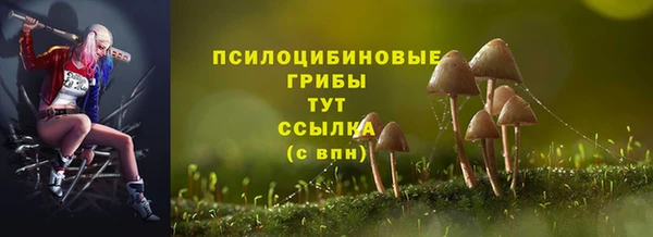 твердый Инта