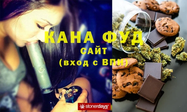 твердый Инта