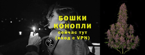 твердый Инта