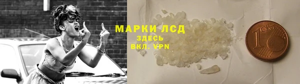 твердый Инта