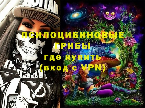 твердый Инта