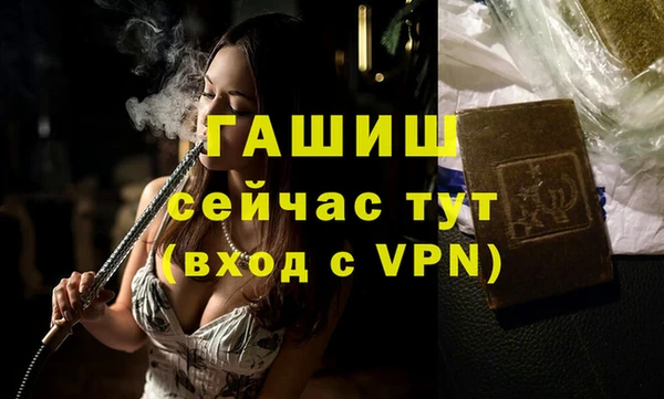 твердый Инта
