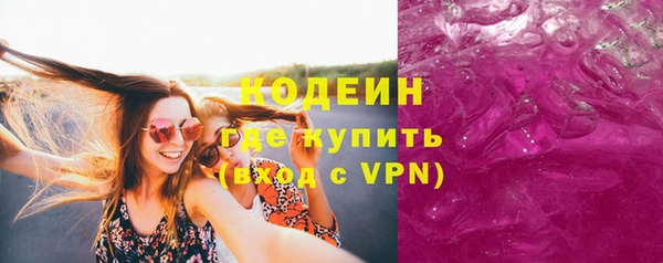 твердый Инта