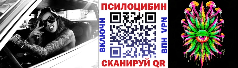 как найти   Касли  Псилоцибиновые грибы ЛСД 